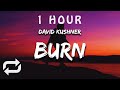 [1 HOUR 🕐 ] David Kushner - Burn (Lyrics)