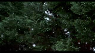 Красивый Снегопад падает на деревья около реки.Звуки природы Зимняя Сказка Видео Падает Снег.