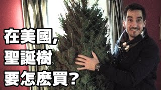 How do you get a Christmas tree in the US? Lukai Kyle will show you how to get your tree set up!