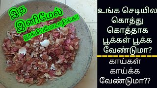 #Garden Tips |இனிமேல் இத தூக்கிப் போடாதிங்க ...@SimplySathiyaUlagam