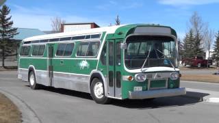 Calgary Transit 1967 GM Fishbowl TDH-5303 #615 - Retired in 1985