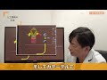 【説明動画】タイミング法や人工授精を受ける方へ　院長 山下直樹 with english subtitles