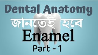 Enamel , Part - 1 , Dental Anatomy Bangla tutorials , Important for both Written and Viva.