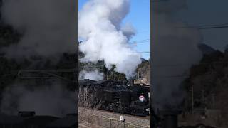 【倉ヶ崎SL花畑】東武鉄道 C11-207 「SL大樹」通過！ヒメマスHM Tobu-railway steam locomotive class C11 pulling 'SL Taijyu'