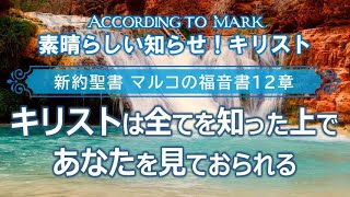 #12 マルコの福音書12章「キリストは全てを知った上であなたを見ておられる」