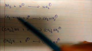 Which Is The Stronger Base ? Ranking The Basicity Of Compounds