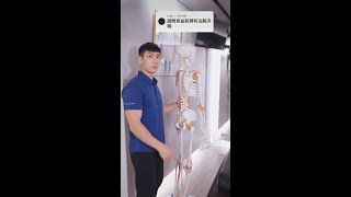 EP 29 骨盆前傾怎麼辦？