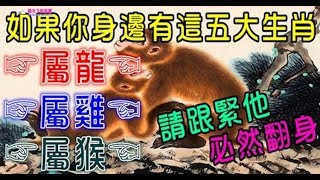 如果你身邊有這五大生肖的人，一定要跟緊他 - 十二生肖