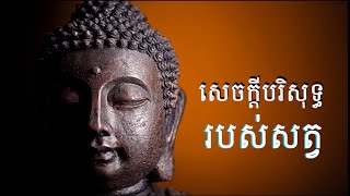 សេចក្តីបរិសុទ្ធរបស់សត្វលោក/លោកគ្រូអគ្គបណ្ឌិត ប៊ុត សាវង្ស-Buth Savong/20/06/2021