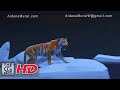 CGI & VFX Showreels: 