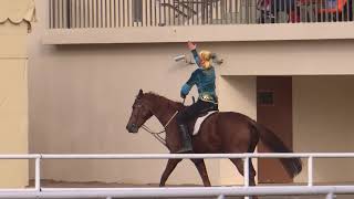 花博后里馬場園區--馬術表演1