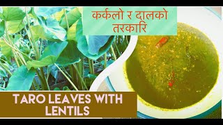 गाभा र दालको मिठ्ो परिकार// Taro leaves with lentils//easy Nepali recipe ❤️ कर्कलो  गाभा👍