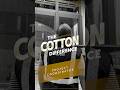 The Cotton Difference: Project Coordinator