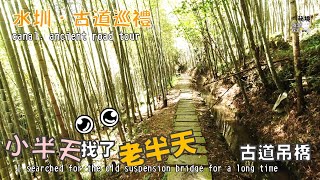 南投鹿谷·小半天～～長源圳與竹林古道漫遊;尋找被遺忘的古道吊橋N0.2022.127