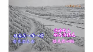 林姍-別讓我等太久 (國   語詞)  (同曲  葉啟田-綠島之夜)