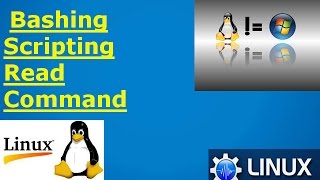 Bash scripting read command