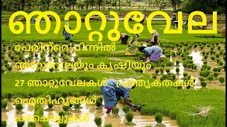 ഞാറ്റുവേല, ഞാറ്റുനില, ഞാറ്റില, njattuvela, Planting calendar of Kerala, ഞായിറ്റുവേല, കൃഷിയിറക്കൽ