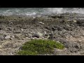 the blow holes grand cayman