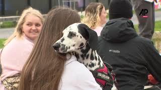 Brussels hosted its first 'Woofstock' on Sunday, a festival dedicated to dogs