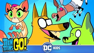 Teen Titans Go! | Animal Urges | Dc Kids