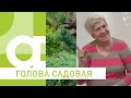 Голова садовая Правильные удобрения для нашего сада ч.1 Сульфат Аммония