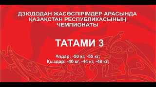 Дзюдодан жасөспірімдер арасында Қазақстан Республикасының чемпионаты