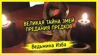 ВЕЛИКАЯ ТАЙНА ЗМЕЙ. ПРЕДАНИЯ ПРЕДКОВ. #ВЕДЬМИНАИЗБА ▶️ #МАГИЯ