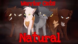 [13+] [Natural] Warrior Cats Villains - Animator Tribute