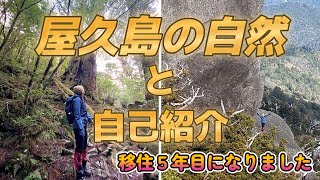 【屋久島にキャンプ場をつくる】#34 自己紹介と屋久島の自然動画を作りました。