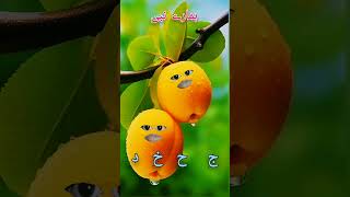 Alifun ba taun sa fruit 🍊#alifunba #arabic #arabicletters #love #talkingtom #shortsfeed #shorts