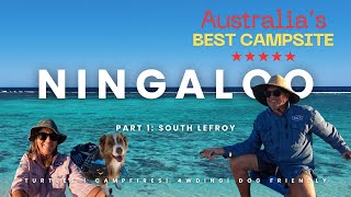 Ningaloo Caravan Adventure: Australia’s Most Epic Campground