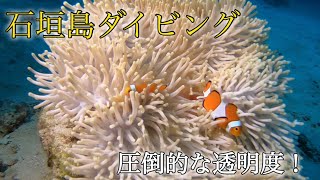 【冬の石垣島ダイビング】初めてのボートダイビングでした！いつもと違う海とエントリー方法で緊張しましたが、最高に楽しかったです！