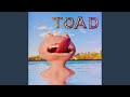 Toad