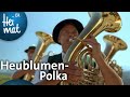 Schönegger Almmusikanten: Heublumen-Polka | Mit Blasmusik durch Bayern l BR Heimat - Volksmusik