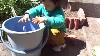 バケツで水遊び（1歳児）