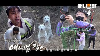 👍🏼9분 순삭보장👍🏼 백구를 구조하러 갔다.. 오라는 백구는 안오고 비가 온다.. [애니멀잡스 EP.3]ㅣA Day Of An Animal Rescuer