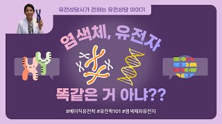 염색체, 유전자 - 다 똑같은 거 아냐??