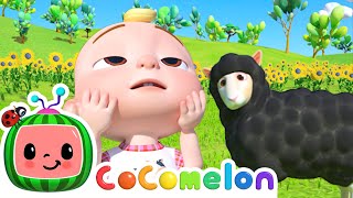 Baa Baa Black Sheep! | CoComelon Animal Time | Animal Nursery Rhymes
