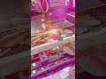 máy cắt laser fiber cnc mini cho anh em làm sản phẩm nhỏ và mỏng.