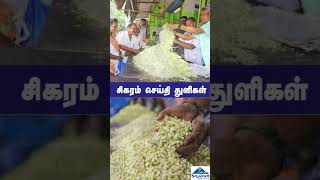 சிகரம் செய்தி துளிகள் | #sigaramnews #todaytamilnews #tamilnews #headnews #viralvideo #trendingnews