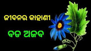 ଜୀବନର କାହାଣୀ ବଡ ଅଜବ।।odia motivational quotes