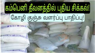 கம்பெனி தீவனத்தில் திடீர் பிரச்சனை! கோழி குஞ்சு வளர்ப்பு பாதிக்க படுமா? desi starter