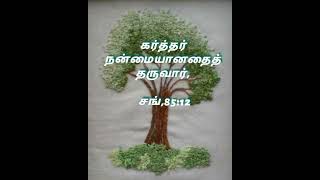 599. நோக்கிப்பார்  என்னை பார்