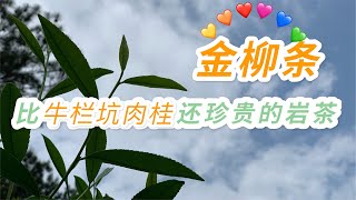 【小陈茶事】这款岩茶，比当家花旦牛栏坑肉桂还稀少，喝到它的更是凤毛麟角