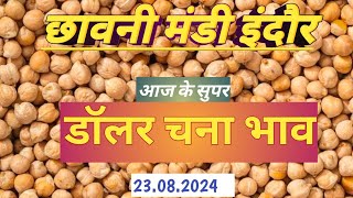 इंदौर छावनी मंडी में डॉलर चने का भाव #indoremandi #chana #चना #chanabhav #indoremandibhav #ytshorts