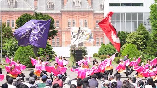 [4K] 札幌大学La fête　YOSAKOIソーラン祭り 2024 土曜日 道庁赤れんが会場