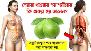 ভুলেও যারা পেয়ারা খাবেন না|| পেয়ারা খেলে হতে পারে মারাত্মক ক্ষতি|| জেনে নিন পেয়ারা খেলে কি হয় শরীরে?