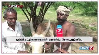 ஜல்லிக்கட்டுக்கு தயாராகி வரும் காளைகள் | சிறப்புத் தொகுப்பு