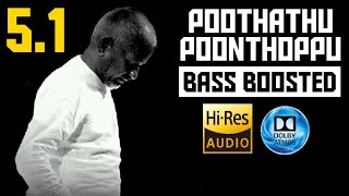 POOTHATHU POONTHOPPU 5.1 BASS BOOSTED SONG | THANGA MANASUKKARAN | ILAYARAJA | BAD BOY BASS CHANNEL