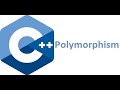 Chapter 19 - Part 1: POLYMORPHISM ( Intro, Types - Static / Dynamic, Pointers to Classes, Programs)